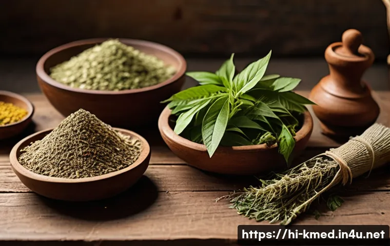 한의사로서의 의료 봉사 경험 관련 이미지 1